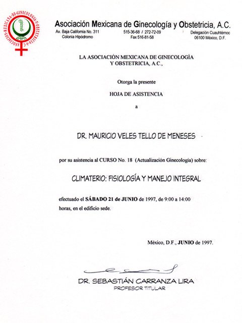 vertical_junio_1997_2