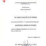 vertical_junio_1997_3