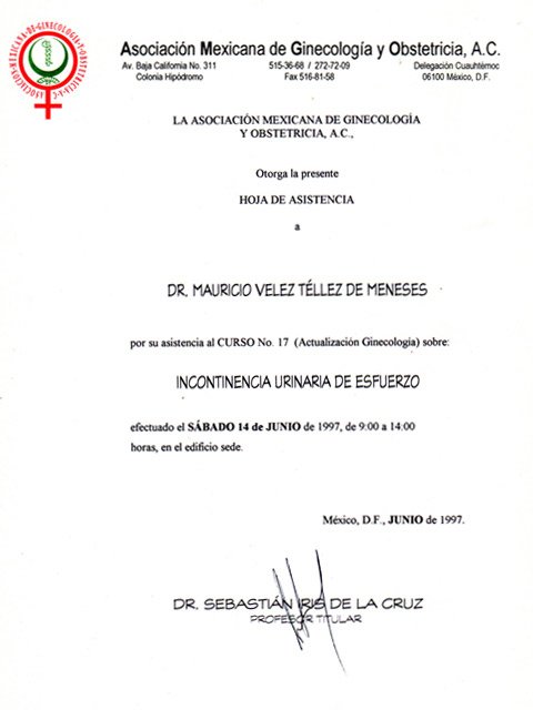 vertical_junio_1997_3