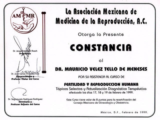 horizontal_febrero_1999