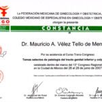 horizontaljunio20073