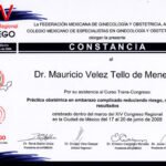 horizontaljunio20082