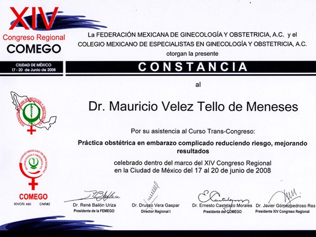 horizontaljunio20082