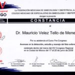 horizontaljunio20083