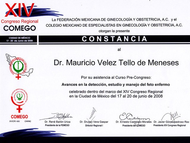 horizontaljunio20083