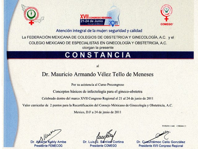 horizontaljunio20112