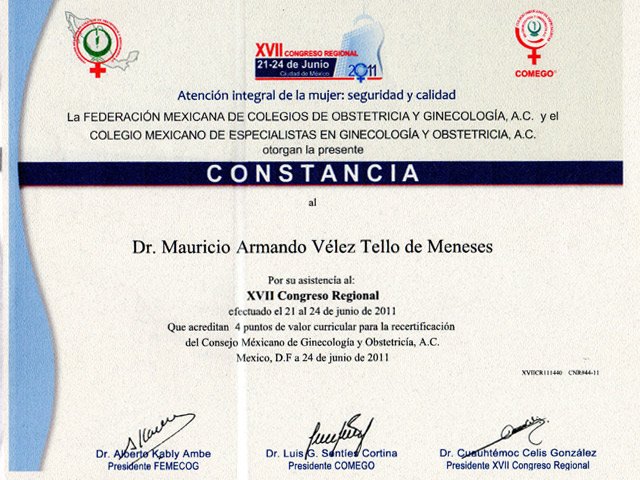 horizontaljunio20113