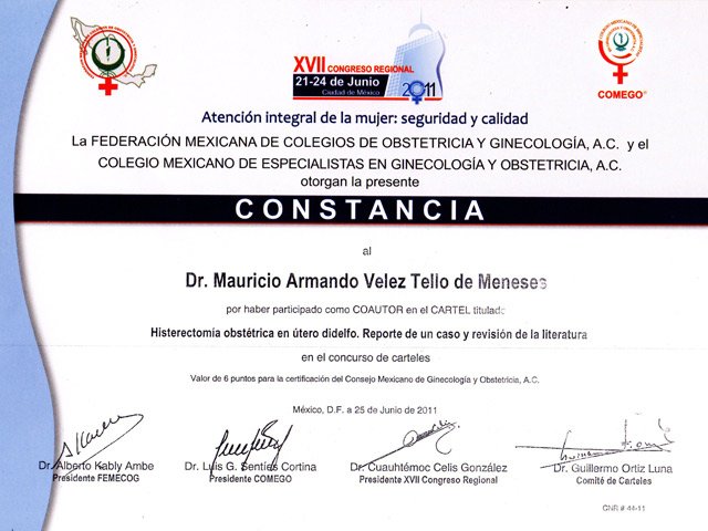 horizontaljunio20114