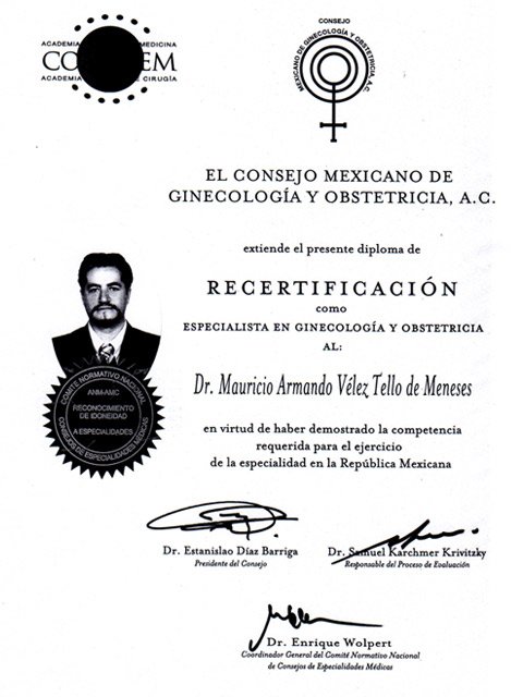 rectificacion2008