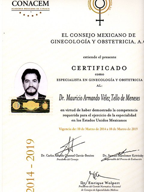 rectificacionmarzo2014