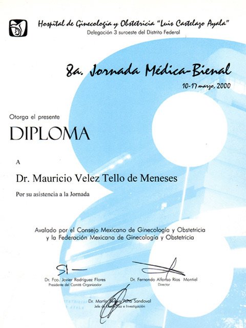verticalmarzo20002